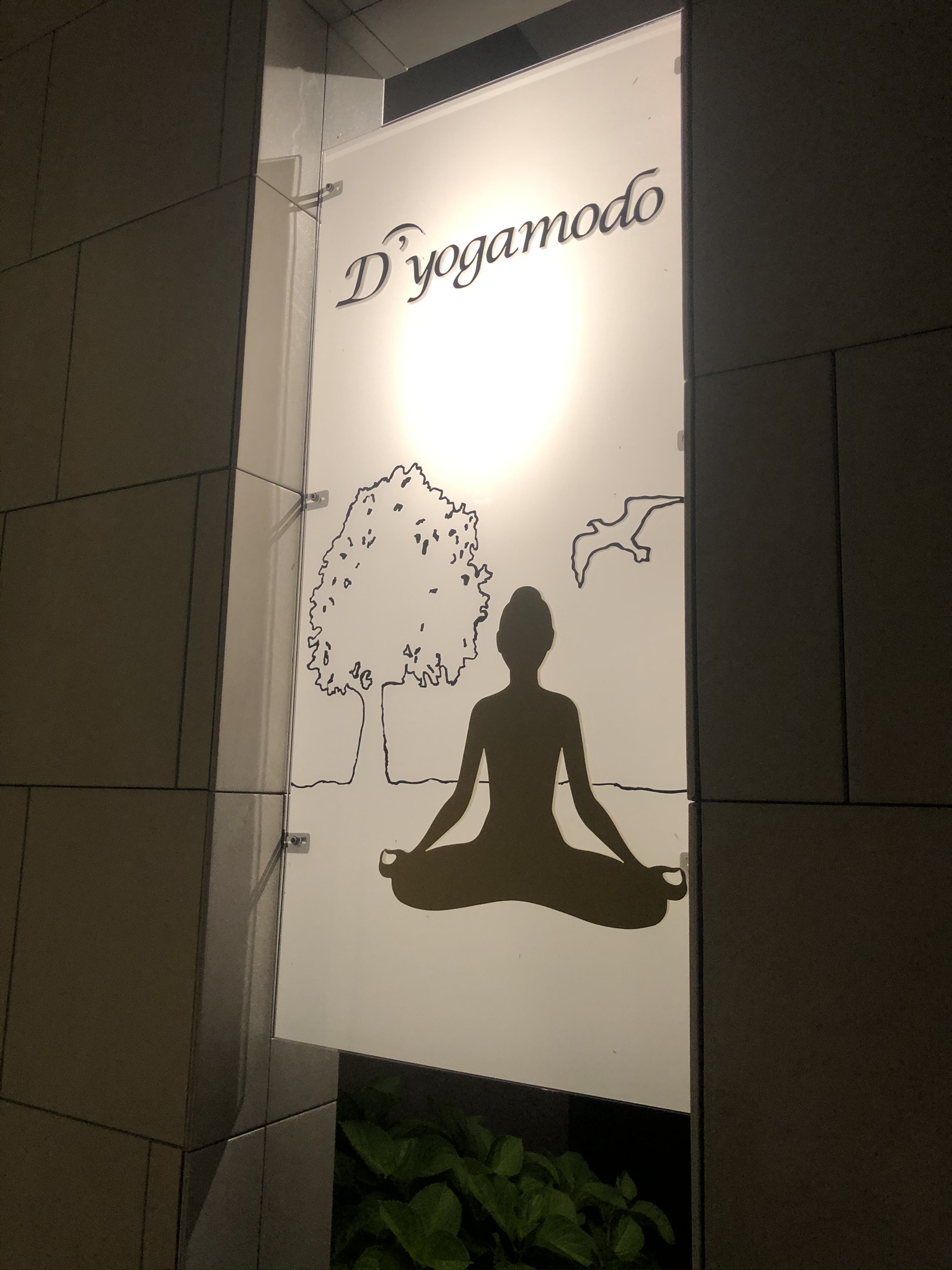 D’yogamodoレッスンメニュー