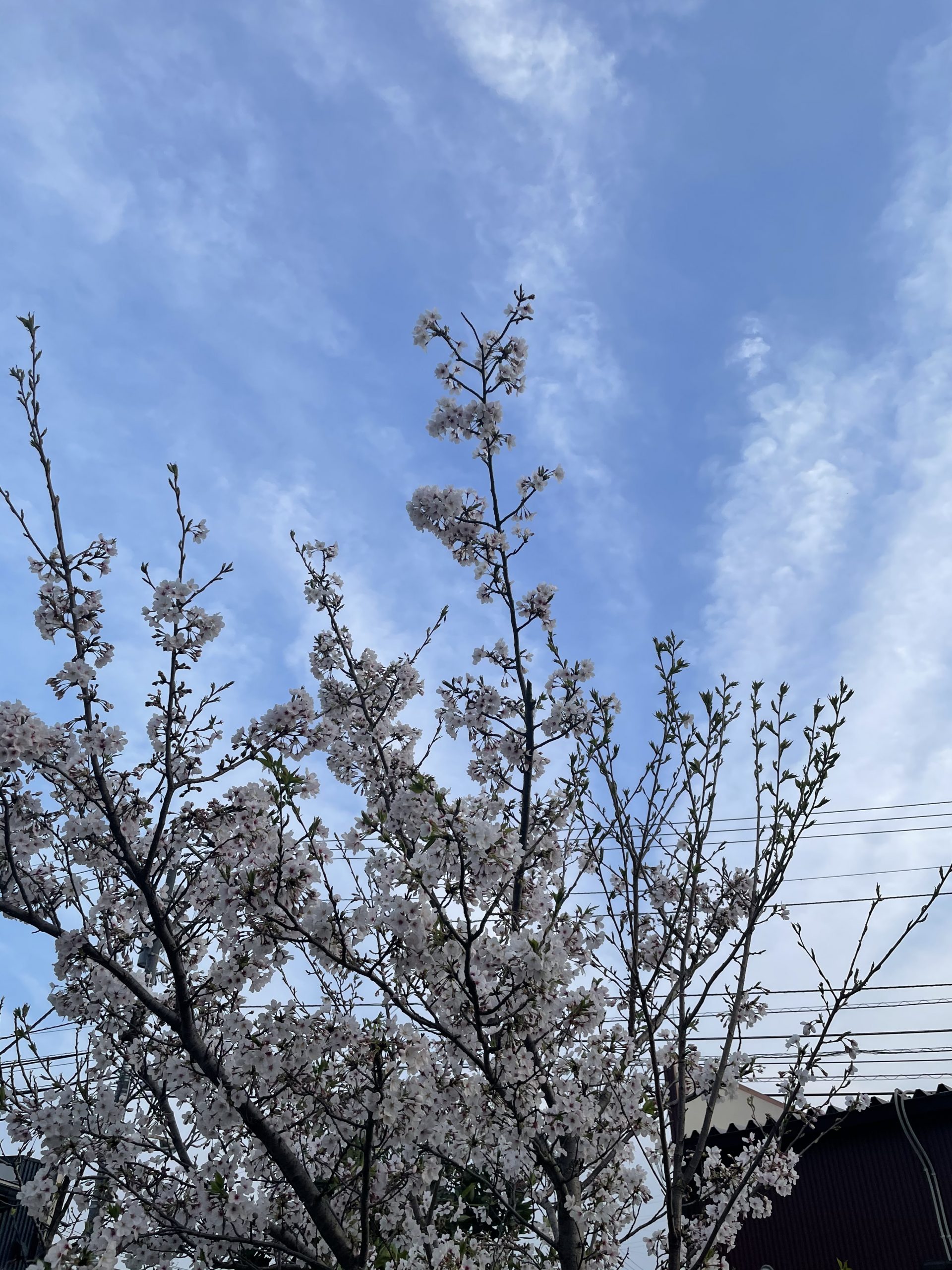 違和感とノリで幸せ体質になっていきましょう〜